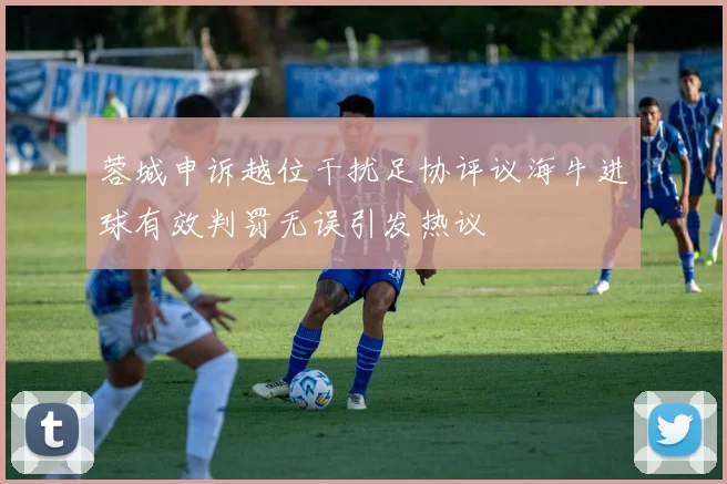 蓉城申诉越位干扰足协评议海牛进球有效判罚无误引发热议